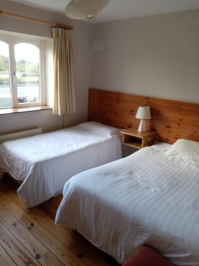 Parnell House Bed & Breakfast Ennis Luaran gambar